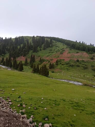 Иссык-Куль 2025: Номер, Salam.Hotel — 5