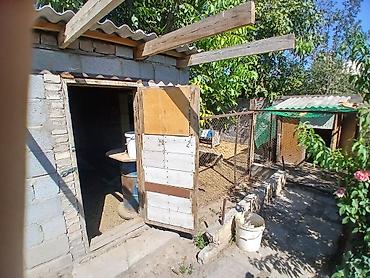 стариная: Продаётся жилой дом 5 комн.С косметическим ремонтом санузел внутри — 5
