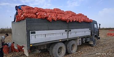 Грузовики: Грузовик, Камаз, Стандарт, 7 т, Б/у — 20