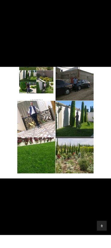 Landşaft işləri: : bağban axran işləri görürəm bütün növ ağcların gülərin əkilməsi — 8