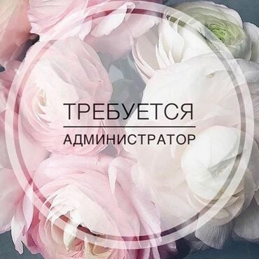 работа начальник охраны: Требуется Администратор: Кафе, Менее года опыта, Оплата Ежедневно