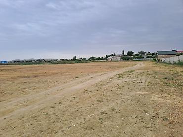 rusyada: 360 sot, Tikinti, Kupça (Çıxarış) — 1