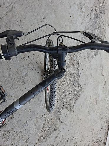 Спорт и хобби: Горный велосипед Black Wolf 26" - Колеса: 26" - Рама: стальная — 2