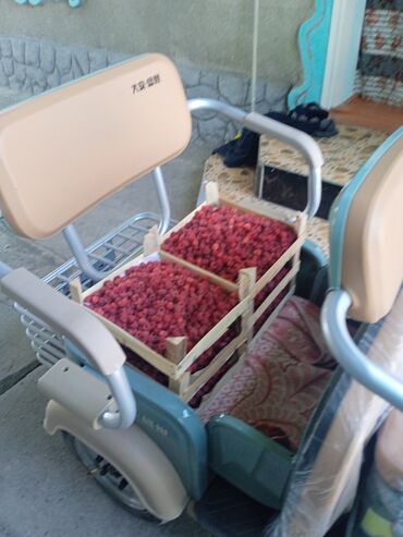 Мотороллеры муравей: Мотороллер муравей Электро, 60 км, 300 - 599 кг — 10