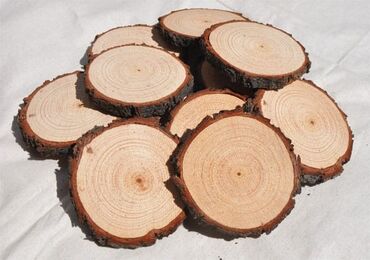Спил деревьев, заготовка дров: Спил автовышкой самых сложных деревьев гарантия 110% Без
