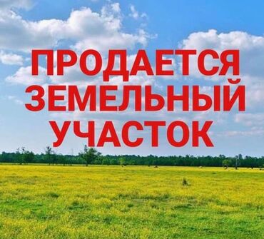 продажа поля: 4000 соток, Для сельского хозяйства, Договор купли-продажи