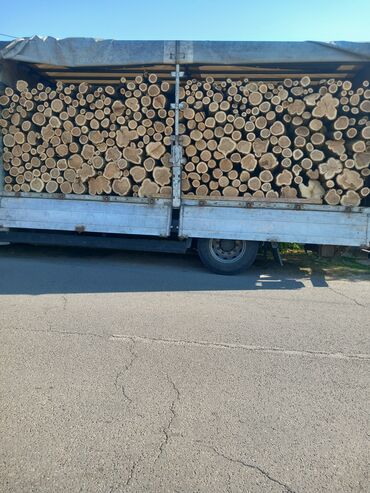 Oprema za grejanje: Ogrevno drvo – tvrde vrste, isečeno i cepano - Vrsta: tvrdo lišćarsko — 10