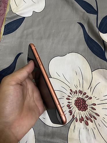 iphone xр: IPhone Xr, 64 ГБ, цвет Coral (оранжевый) - Модель: iPhone Xr (модель — 2