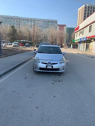 Toyota: Toyota Prius: 2011 г., 1.8 л, Вариатор, Гибрид, Хэтчбэк — 6