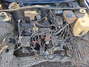продаю ист: Volkswagen Golf: 2026 г., 1.6 л, Механика, Бензин, Хэтчбэк — 2