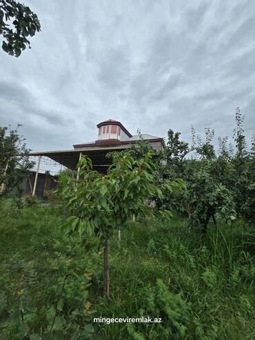 memar ecemi kiraye ev: 4 комнаты, 600 м²