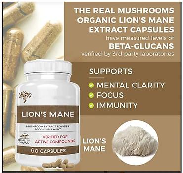 Витамины и БАДы: США Экстракт Ежовник гребенчатый он же Львиная грива капсулы Чистый — 2