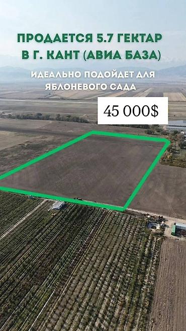 5700 соток, Для сельского хозяйства, Договор купли-продажи — 1