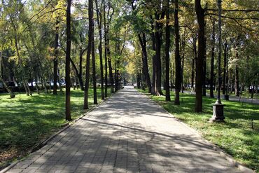 семейная баня арча бешик: Ижарага берем Офистик, 30 кв. м, Турак комплексинде, 1-катар