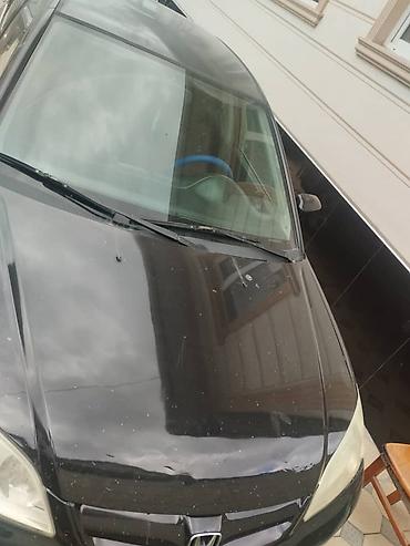 купит цивик: Honda Civic: 2004 г., 1.5 л, Автомат, Седан — 4