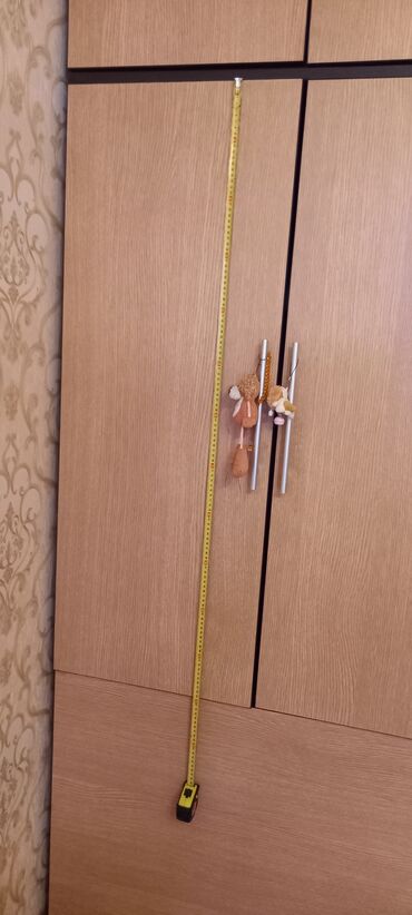 Dolablar: Qarderob, paltar dolabı — 14