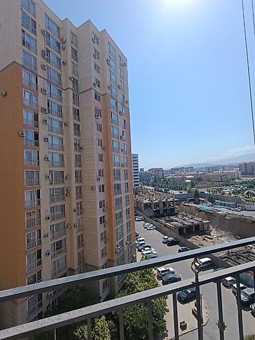 эмиль: 1 комната, 42 м², Джал-15 8 этаж, Свежий ремонт — 5