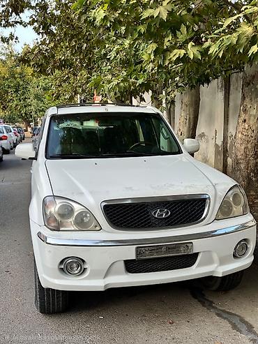 Hyundai: Hyundai Terracan: 2.9 l | 2003 il Ofrouder/SUV — 2