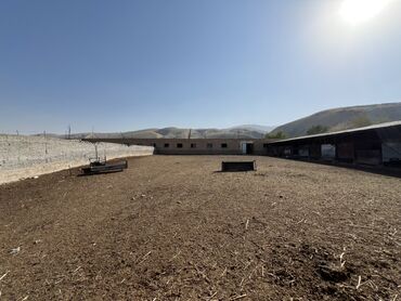 Продажа домов: Дом, 180 м², 4 комнаты, Собственник, Дизайнерский ремонт — 22