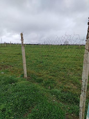 Torpaq sahələrinin satışı: Kənd təsərrüfatı — 9