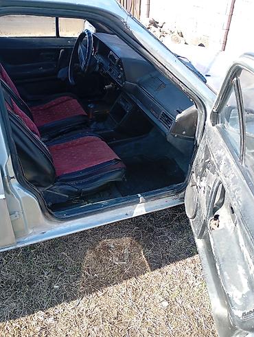 Volkswagen: Volkswagen : 1980 г., 1.8 л, Механика, Бензин, Хэтчбэк — 5