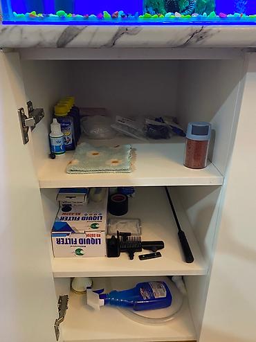 kiçik heyvanlar: Dördbucaq akvarium, Balıqlarla birlikdə, 300 l, Pulsuz çatdırılma — 5