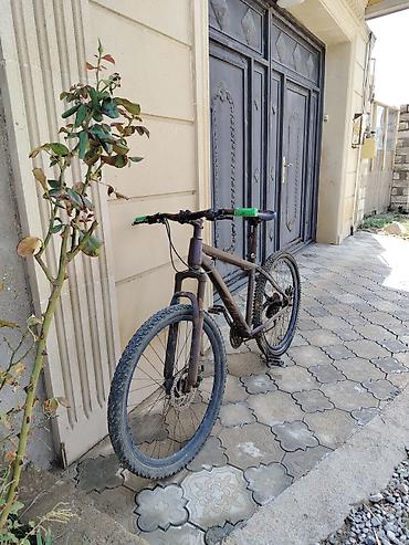 velosped 29: TECLİ SATLIR real alcya edrim olcaqq — 2