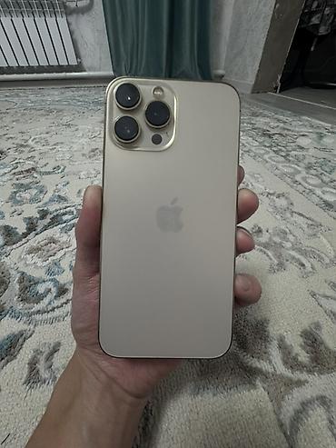 16 gb: 🔥 iPhone 13 Pro Max — 256 GB ✨ Цвет: золотистый 🔋 Аккумулятор: 79% 💾 — 1