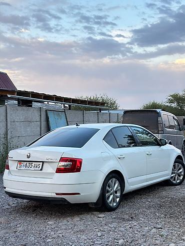 Продажа авто: Skoda Octavia: 2017 г., 1.6 л, Автомат, Бензин, Седан — 5