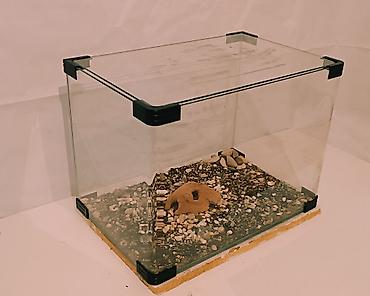 xiaomi akvarium: Hazır Zavod Akvariumu Uzunluq -55sm.Eni-36sm.Hündürlük-40sm.Tutum-79.2 — 3