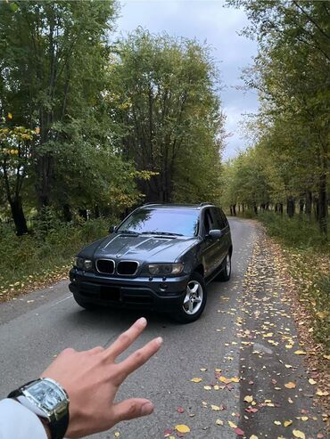 машина легковая: BMW X5: 2003 г., 3 л, Автомат, Газ, Внедорожник