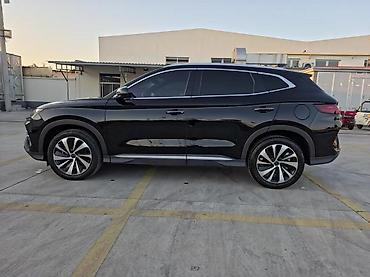 BYD: BYD Song Plus: 2024 г., 1.5 л, Вариатор, Гибрид, Кроссовер — 13