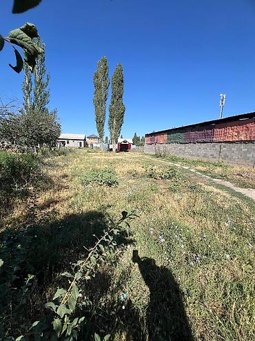 4 соток, Для строительства, Красная книга at lalafo.kg — 2 4 соток, Для строительства, Красная книга — 2