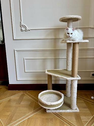 Үй жаныбарлары үчүн товарлар: 😻 Игровой комплекс для кошек: идеальное место для вашего питомца! 😻 — 2