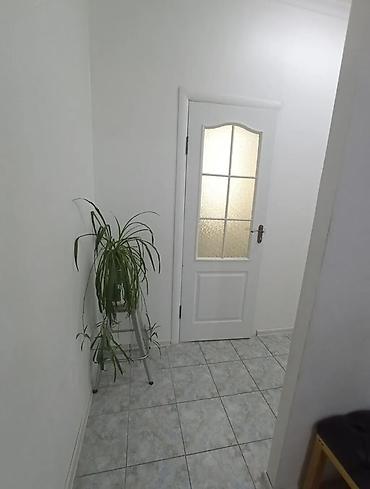 аренда спа: Аренда кабинетов в салонах красоты, 16 м², Для лешмейкера — 2