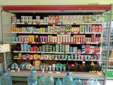 sudluk soyuducu: Soyuducu vitrin, müxtəlif süd məhsulları, yoqurtlar və içkilər