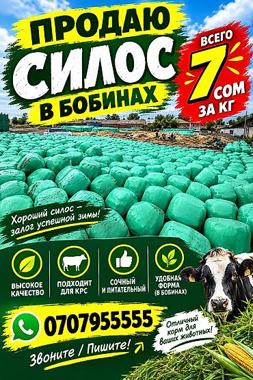 СИЛОС В БОБИНАХ НА ПРОДАЖУ ЕСТЬ КОМУ НАДО ПИШИТЕ ЗВОНИТЕ
