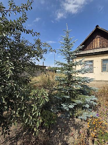 продажа участков бишкек: 🏡 УЧАСТОК В ШИКАРНОЙ ЛОКАЦИИ КАРАКОЛА Если вы ищете участок для — 4
