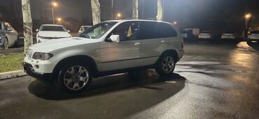 BMW: BMW X5: 2005 г., 4.4 л, Автомат, Бензин, Кроссовер — 11