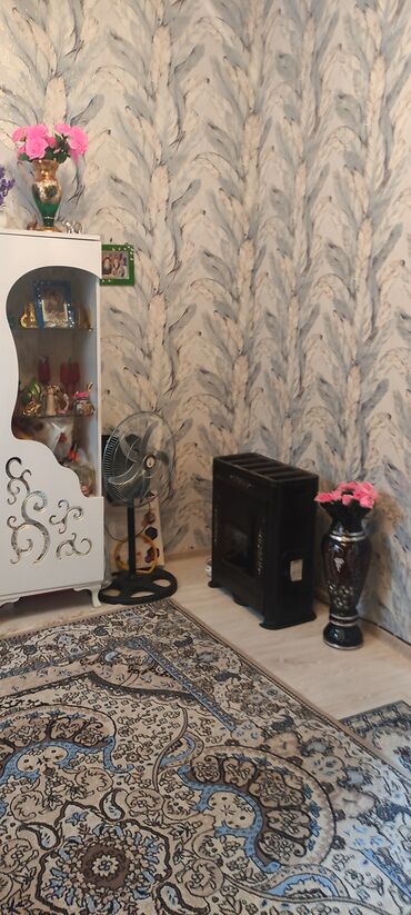 Giriş qapıları: Həyət daxili qapı və giriş komplekti - Material: metal qapı, üzərində — 6