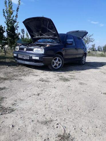 тесло авто: Volkswagen Golf: 1992 г., 1.8 л, Механика, Бензин, Хэтчбэк