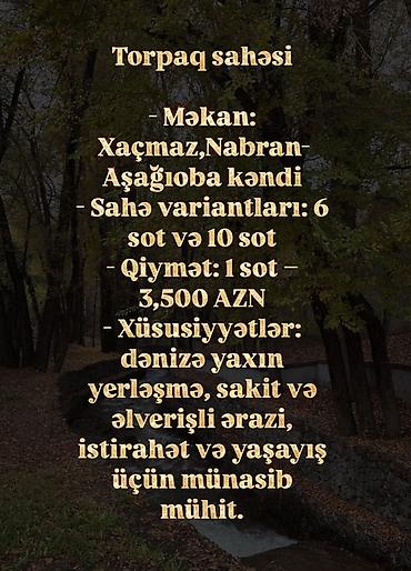 şahdağ nabran: 6 sot — 1
