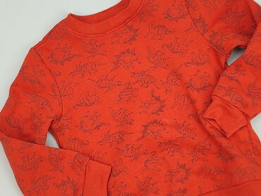 bluzki ażurowe białe: Sweatshirt, 5-6 years, 110-116 cm, condition - Good