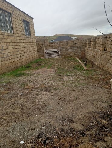 Yeni tikili: 2 otaqlı, Yeni tikili, 3 kv. m -da lalafo.az — 14 Yeni tikili: 2 otaqlı, Yeni tikili, 3 kv. m — 14