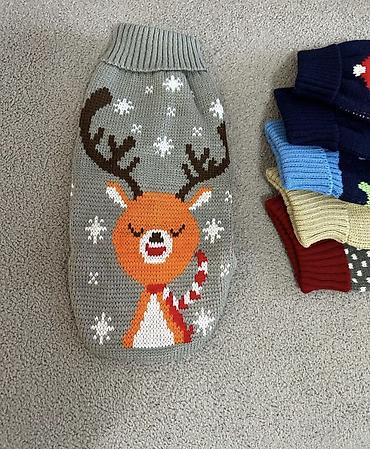 Зоотовары: Кофточки трикотажные для собак и кошек. Отличное качество. Множество — 6