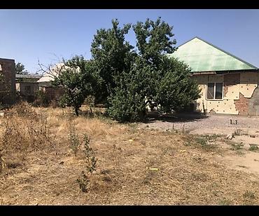 5 соток, Курулуш