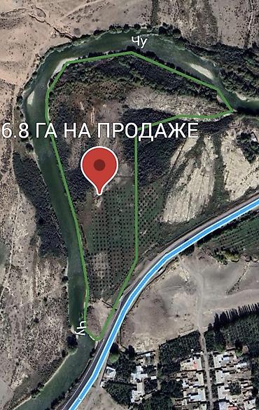 Продажа коттеджей и домов: Продаётся дом на иссык-куле+ магазин+7 гектаров земли рядом с домом — 12