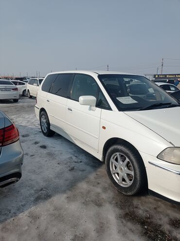 продаю хайландер: Honda Odyssey: 2000 г., 3 л, Автомат, Бензин, Минивэн