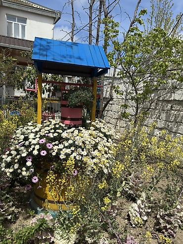 Bağ, çöl mebeli: Bağ üçün dekorativ “quyu” tipli güldan-kompozisiya - Material: ağac — 1