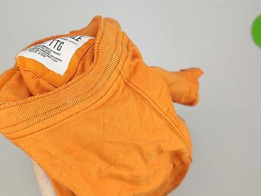 american eagle pl: Aeropostale, Koszulka dla mężczyzn, rozmiar 2XL — 7